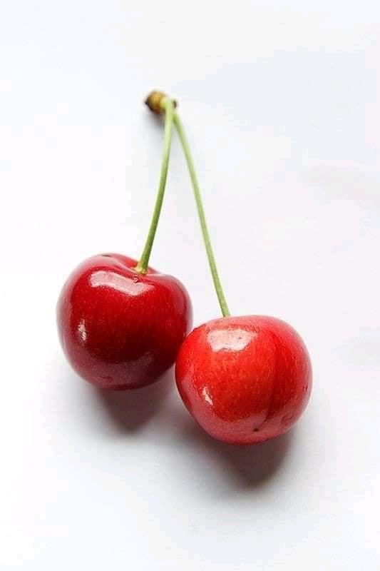 Farmstand Favorites: Seasonal Fruit Selection